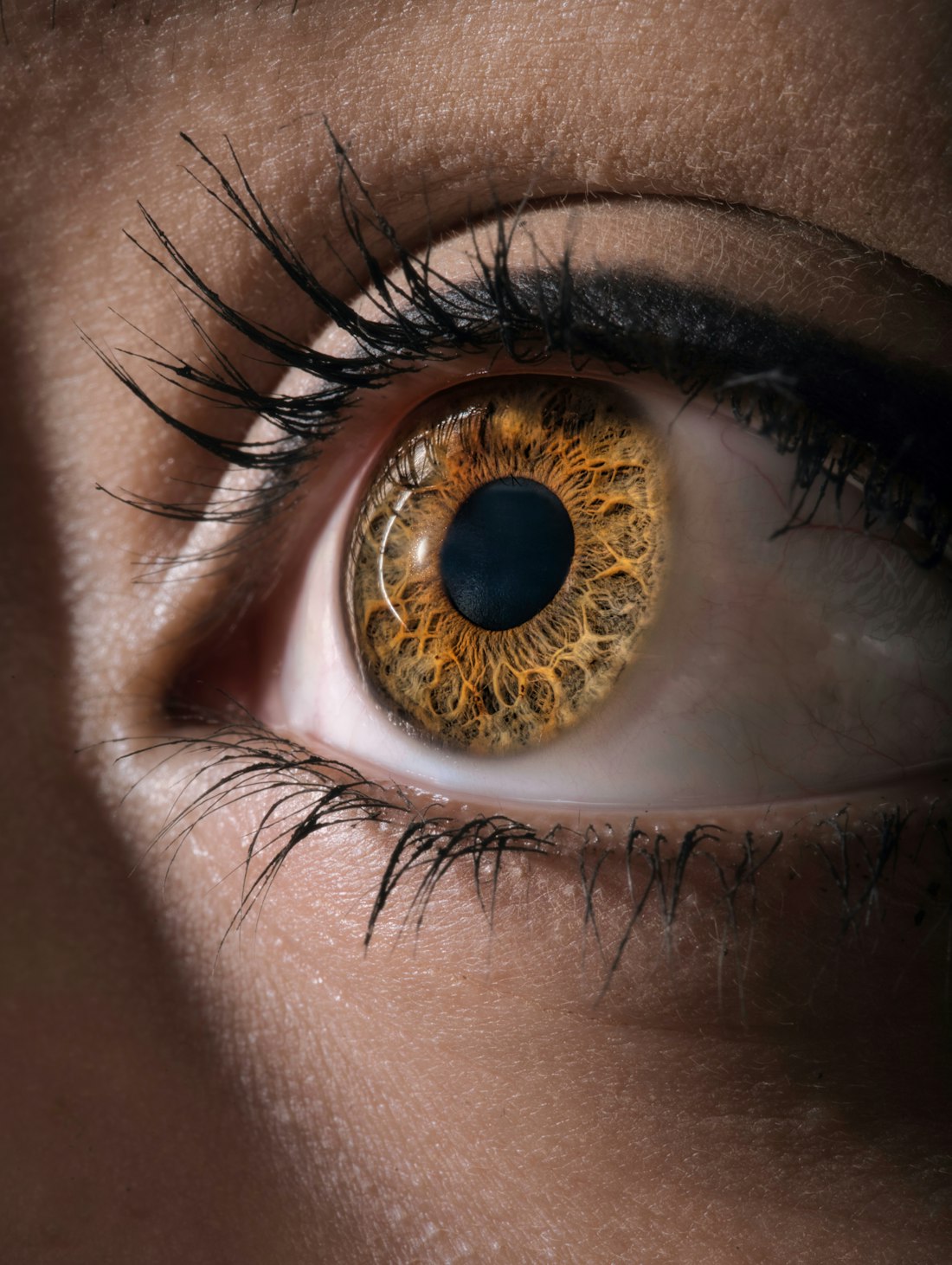 Macro of a hazel eye wearing a warm amber lens (temporary comp photo)